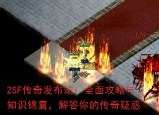 2SF���淢��վ��ȫ�湥����֪ʶ���ң������Ĵ����ɻ�