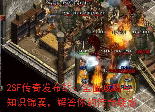 2SF���淢��վ��ȫ�湥����֪ʶ���ң������Ĵ����ɻ�