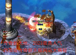 ��������أ�2023��������Ķ��������¿�����վ�����
