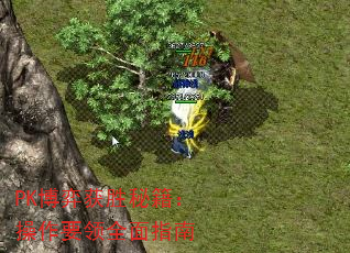 PK���Ļ�ʤ�ؼ�������Ҫ��ȫ��ָ��