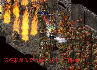 Զ��˽�����湥�ԣ���������ָ��