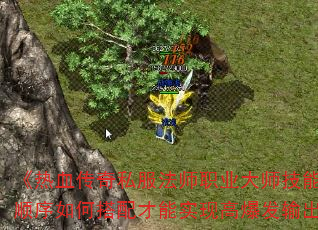����Ѫ����˽����ʦְҵ��ʦ���ܼӵ�˳����δ������ʵ�ָ߱����������
