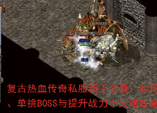 ������Ѫ����˽�����ֱؿ�����ο���ˢװ��������BOSS������ս��ʮ������ȫ����