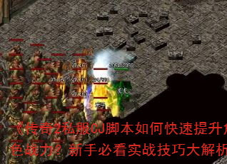 ������2˽��CJ�ű���ο���������ɫս�������ֱؿ�ʵս���ɴ������