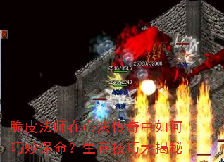��Ƥ��ʦ���ķ��������������������漼�ɴ����