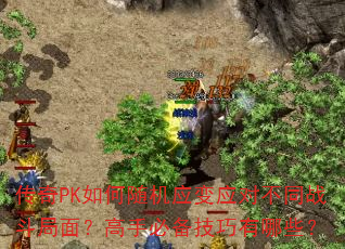 ����PK������Ӧ��Ӧ�Բ�ͬս�����棿���ֱر���������Щ��