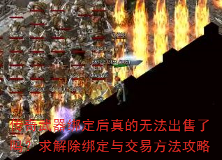 ���������󶨺�����޷����������������뽻�׷�������