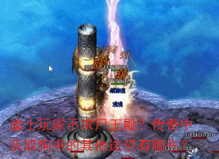 ��ʿ��Ҳ���ʬ��������л�ȡ���������;������Щ��