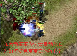 ����ٱ���Ϊ�λ��Զ���������α��ⱦ������������