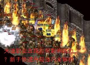 ���ְҵѡ�����Ӱ��ս�������ֿ�����������ȫ����