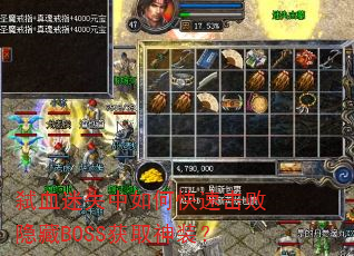 ߱Ѫ��ʧ����ο��ٻ�������BOSS��ȡ��װ��
