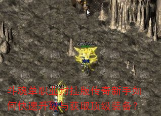���굥ְҵ��Ұ洫��������ο����������ȡ����װ����