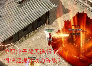��ְҵ�������������ο�������ս���ȼ���