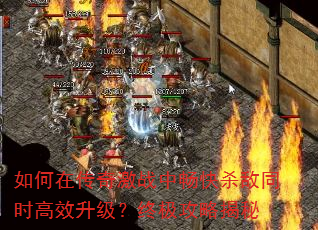 ����ڴ��漤ս�г���ɱ��ͬʱ��Ч�������ռ����Խ���