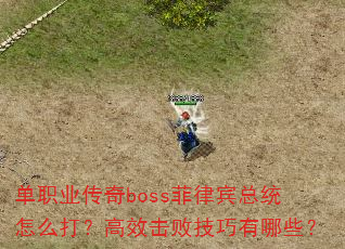��ְҵ����boss���ɱ���ͳ��ô�򣿸�Ч���ܼ�������Щ��