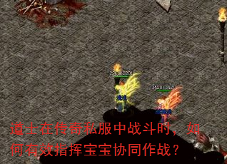 ��ʿ�ڴ���˽����ս��ʱ�������Чָ�ӱ���Эͬ��ս��