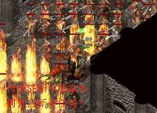 ����SF���������ο�����������
