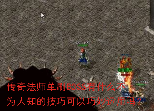 ���淨ʦ��ˢBOSS��ʲô��Ϊ��֪�ļ��ɿ�������������