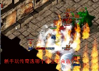 �����洫��ѡ�ĸ�ְҵ�����ʣ�