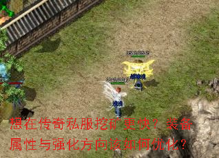 ���ڴ���˽���ڿ���죿װ��������ǿ�����������Ż���