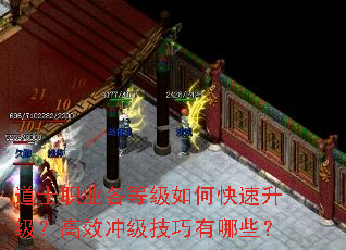 ��ʿְҵ���ȼ���ο�����������Ч�弶��������Щ��
