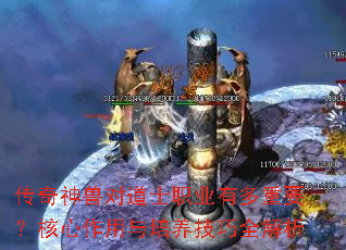 �������޶Ե�ʿְҵ�ж���Ҫ��������������������ȫ����