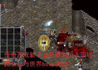 ������Ϸ�������˳�����붥���ŶӲ�������boss��ս��