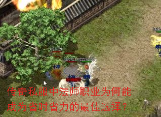 ����˽���з�ʦְҵΪ���ܳ�Ϊʡʱʡ�������ѡ��