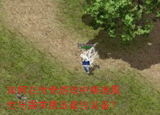 ����ڴ�����Ϸ�и���������������ѡ���װ����