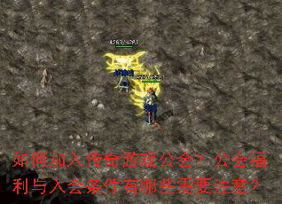��μ��봫����Ϸ���᣿���ḣ���������������Щ��Ҫע�⣿