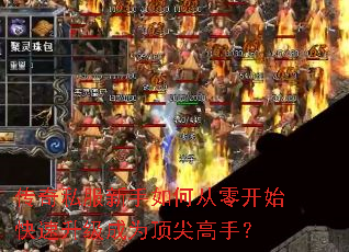 ����˽��������δ��㿪ʼ����������Ϊ������֣�