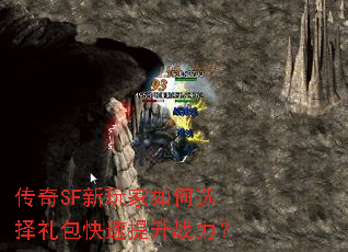 ����SF��������ѡ�������������ս����