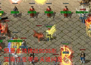 ��Ҫ������սBOSSˢ����ע����Щ�ؼ����⣿