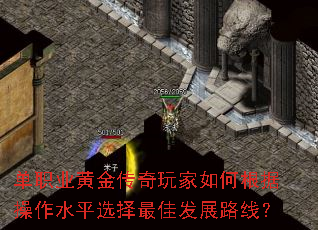 ��ְҵ�ƽ��������θ��ݲ���ˮƽѡ����ѷ�չ·�ߣ�