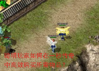 ������������һ�봫���и�Ч����������Ʒ��