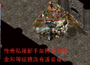 ����˽��������θ���ְҵ�͵ȼ���ѡ����װ����