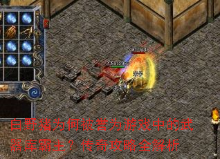 ��Ұ��Ϊ�α���Ϊ��Ϸ�е���������������湥��ȫ����