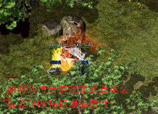 ���Ϊ������Ϸ��������װ�����PKָ�걬�����ԣ�