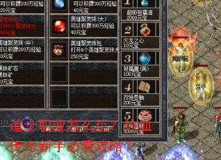 ��ʿְҵ��ô�棿��Ѫ�������ֱؿ����ԣ�