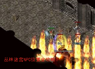 �����Թ�NPCλ��ȫ���ԣ�
