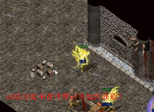 65���������ڴ���sf����λ�ȡ��