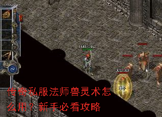 ����˽����ʦ��������ô�ã����ֱؿ�����