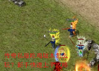 ����˽���Լ��汾��ô�棿���ֿ������ֹ���