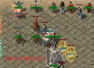 ��ʿ��ε���BOSS��