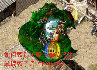 ���������洫��˽�����������ӵ����Լ��ɣ�