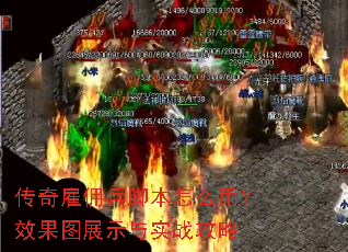 �����Ӷ���ű���ô�ã�Ч��ͼչʾ��ʵս����