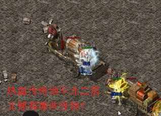 ��Ѫ������α����㱱������Щ���