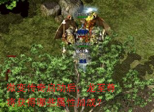 ΢�䴫�������������𽫻����Щ���Լӳɣ�