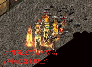 �����Ч���ƴ���˽���еĵ�ʿְҵ��