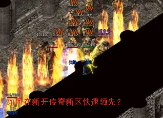 ������¿����������������ȣ�